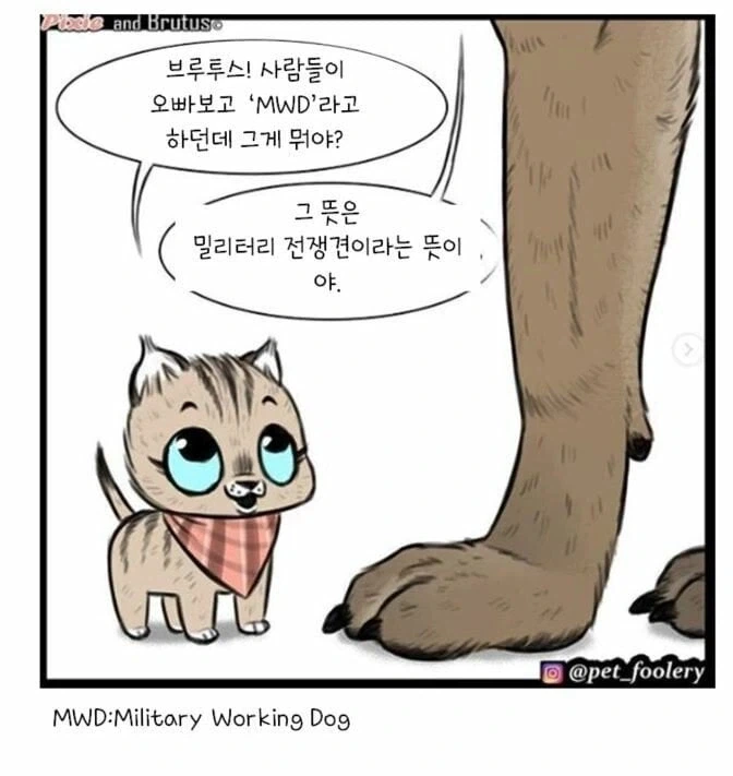 아기고양이와 은퇴군견manga_2.webp