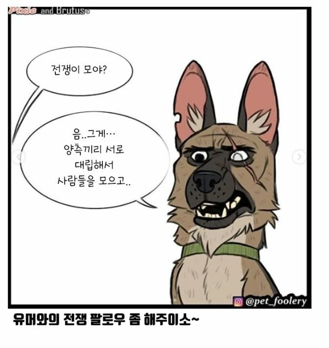 아기고양이와 은퇴군견manga_5.jpeg