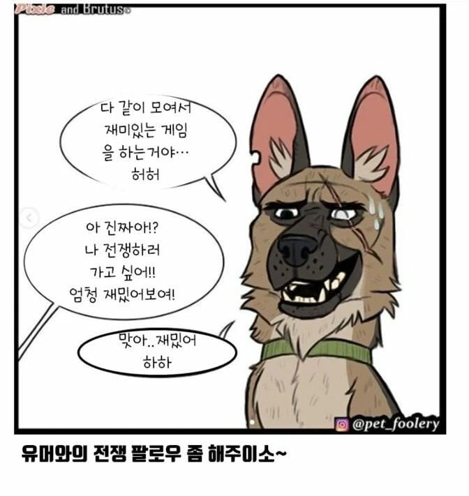 아기고양이와 은퇴군견manga_9.webp