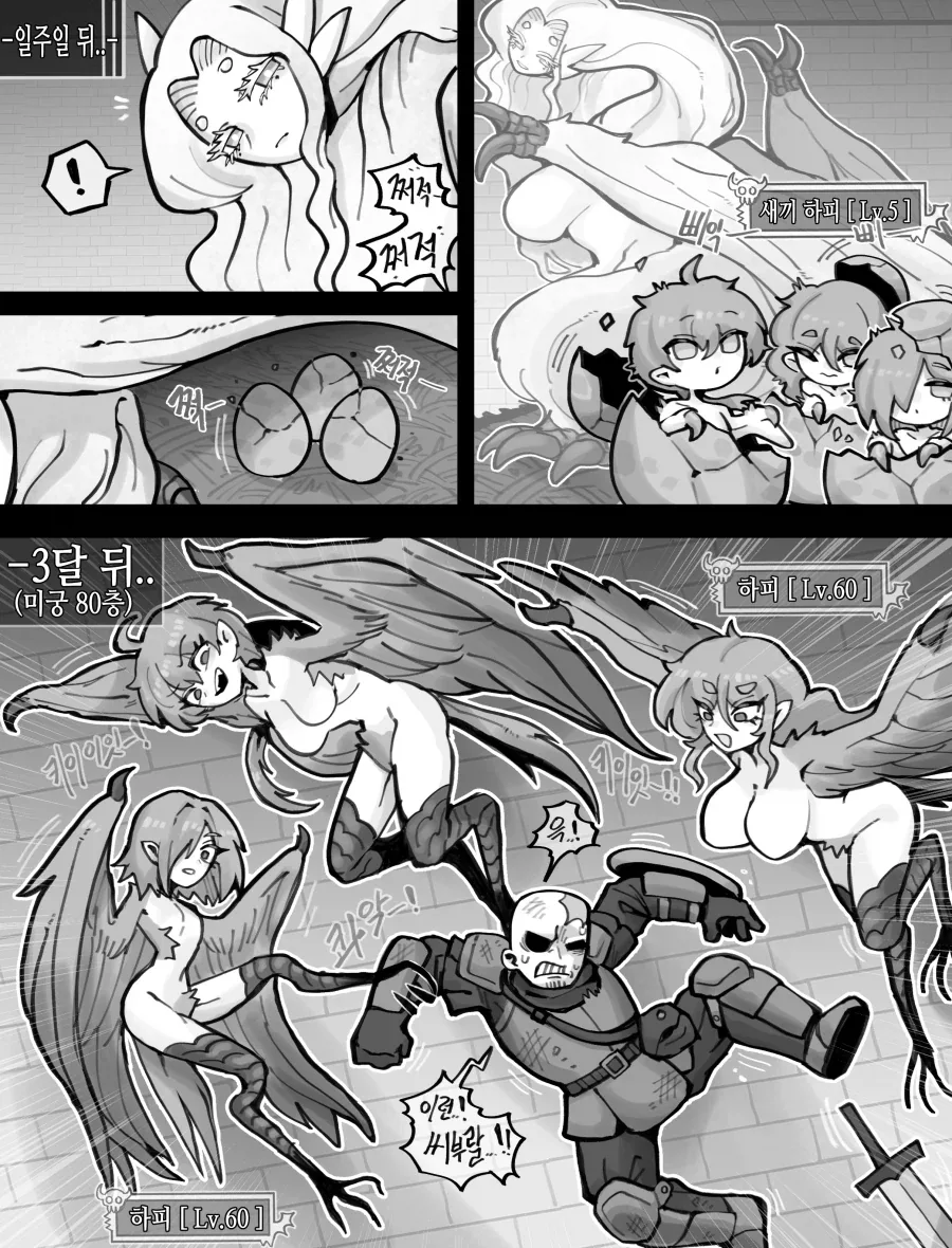 하피 무리를 만난 모험가 파티 Manhwa_4.webp