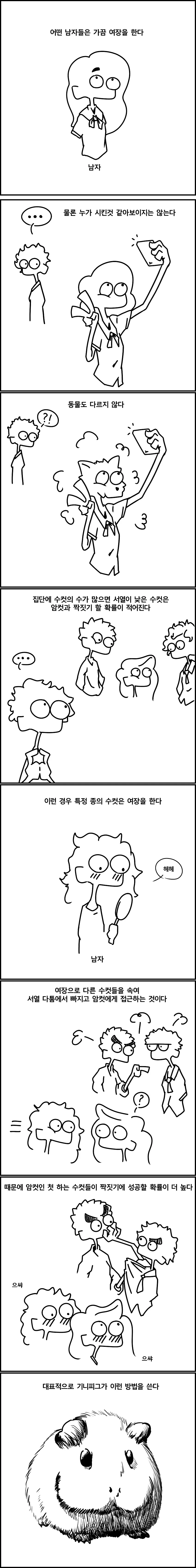 manga_3188165_001.webp