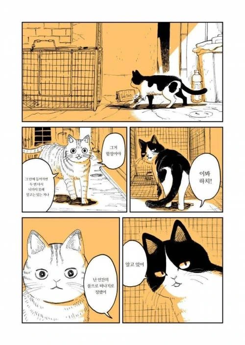 manga_275222_002.webp