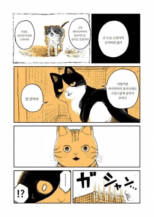 manga_275222_003.webp
