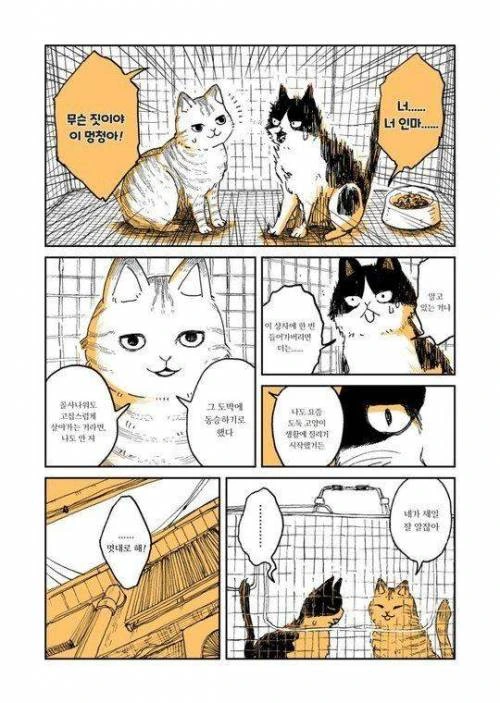 manga_275222_004.webp