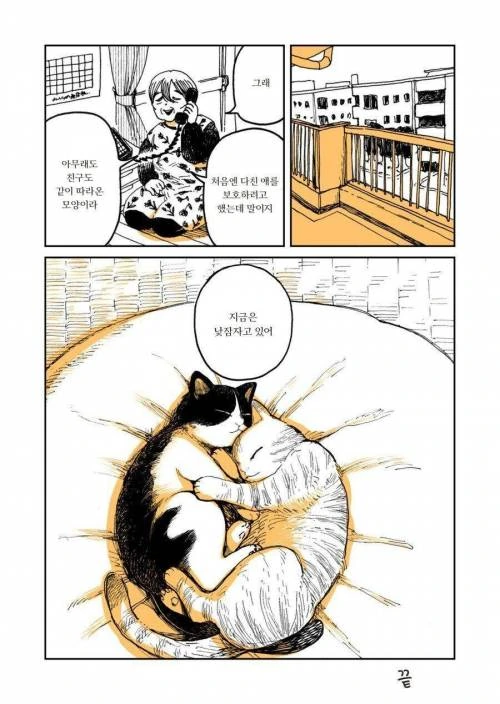 manga_275222_005.webp