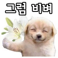 귀엽다고 하면 화내는 여자 친구 만화 이미지 4