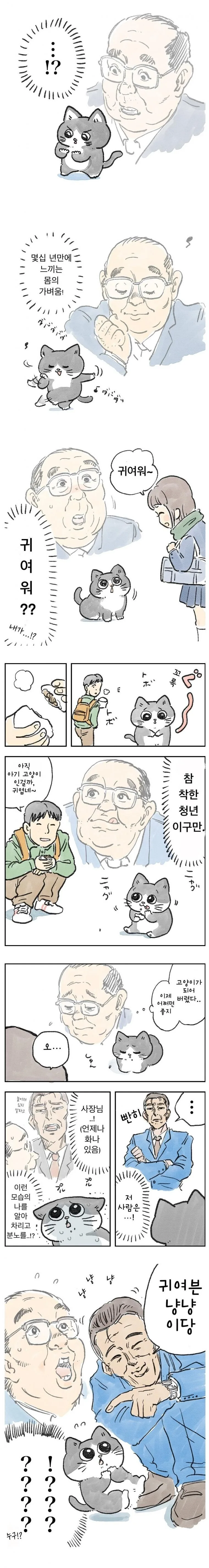 원피스) 투잡 뛰는 해군 원수 만화.manhwa 대표 이미지