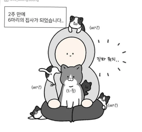 manga_408558_002.webp