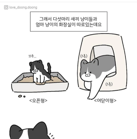 manga_408558_003.webp