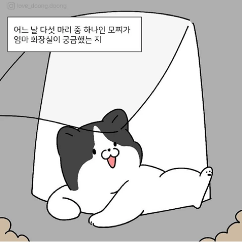 manga_408558_004.webp