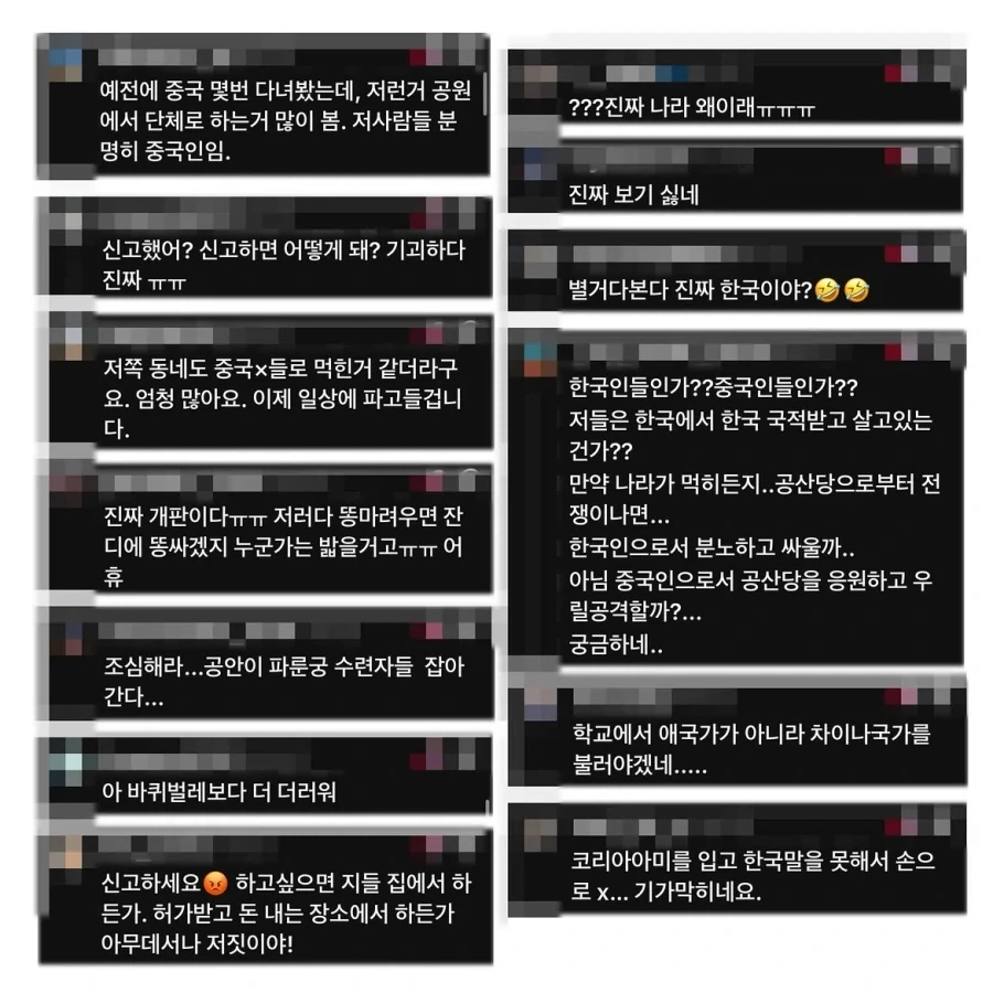 변호사가 참가하는 태극권 모임을 중국인이라 올린 악플.manwha_12.webp