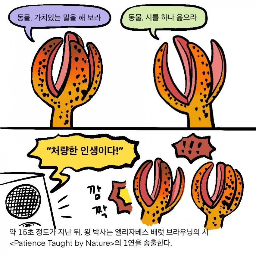 manga_2356506_010.webp