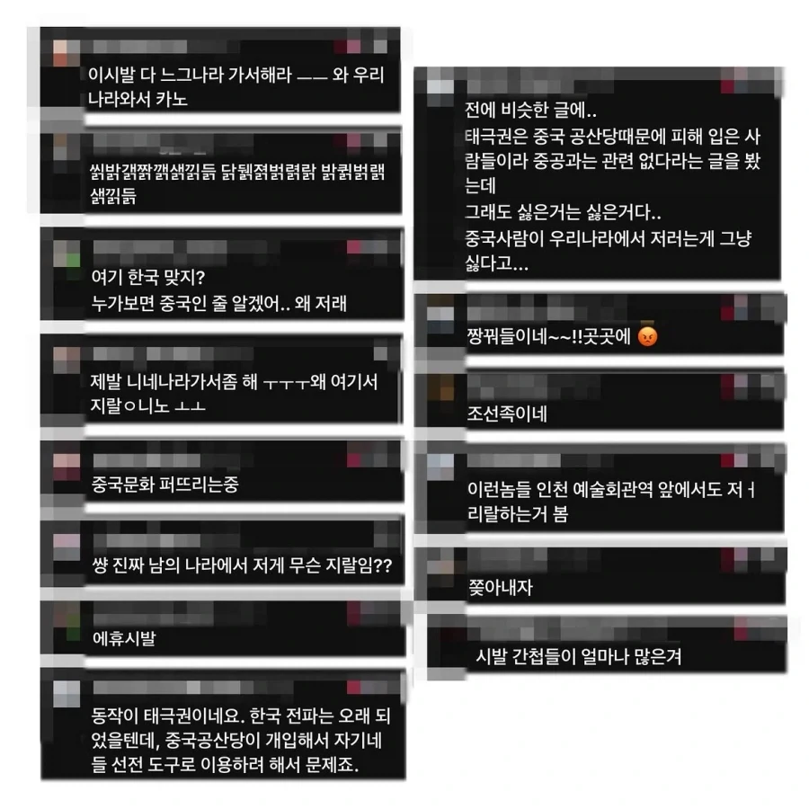 중국인으로 몰린 태극권 모임.manwha_11.webp
