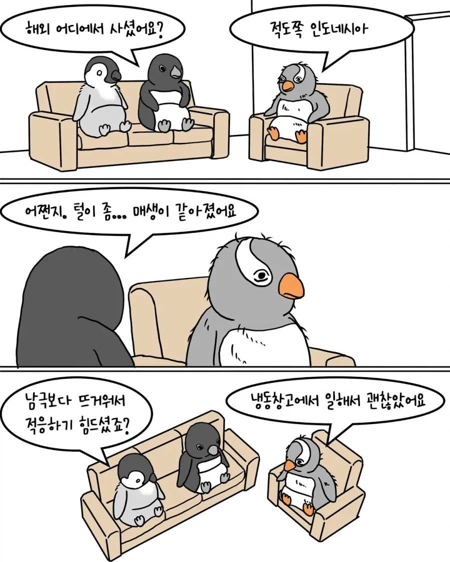 해외에서 돌아온 펭귄 만화.manwha_3.webp