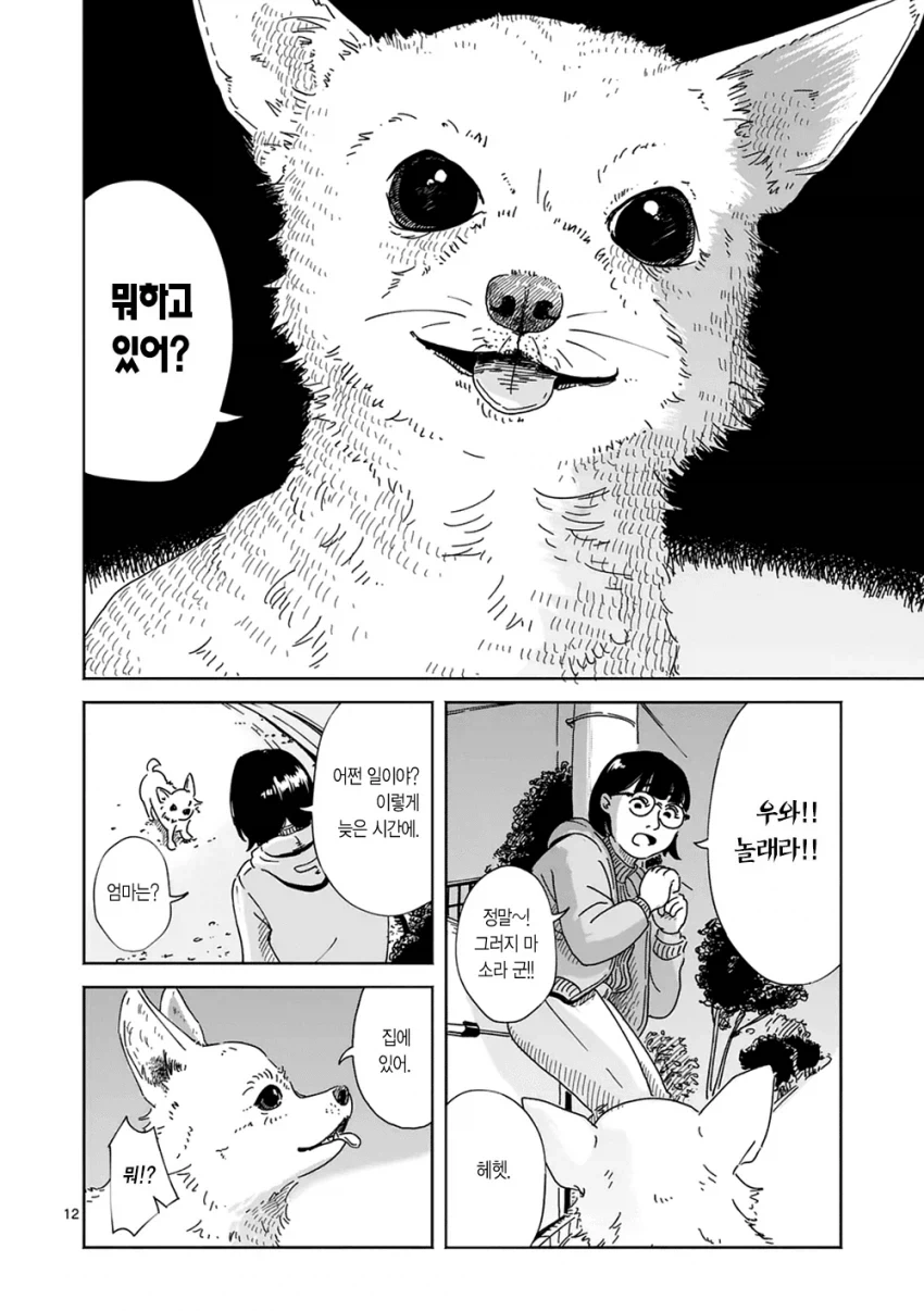만약 키우던 강아지가 말을 한다면... manhwa_11.webp