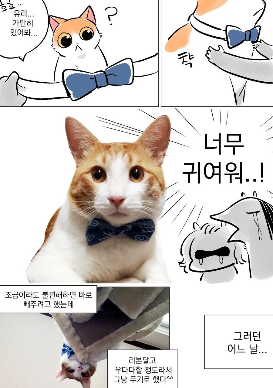 manga_1102530_002.webp