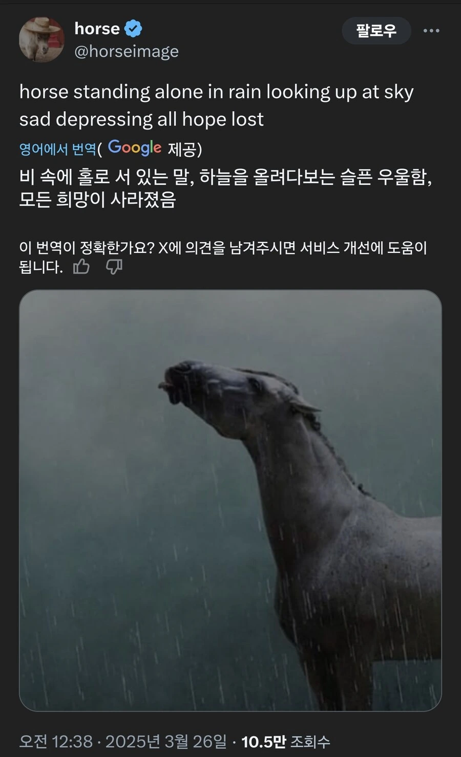 유희왕)아스카: 지금보다 더 커져야해! 대표 이미지
