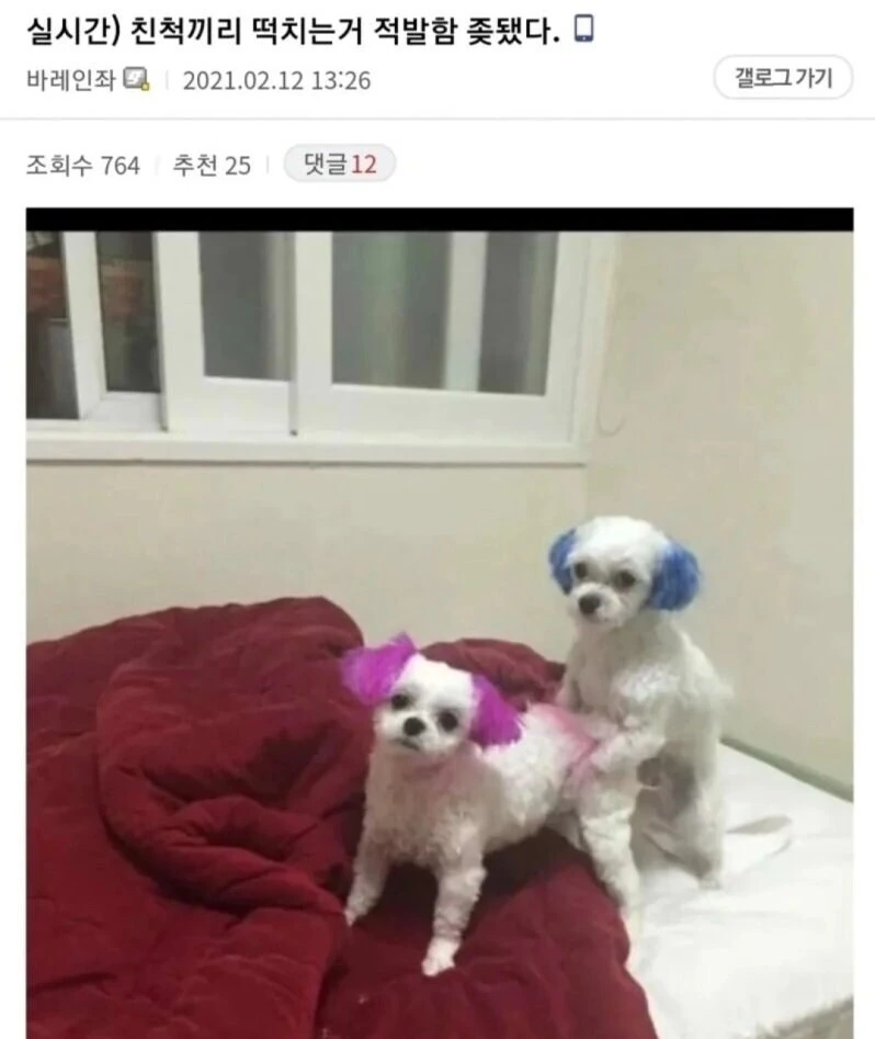 안드로이드들이 버려지게되는.manhwa 대표 이미지