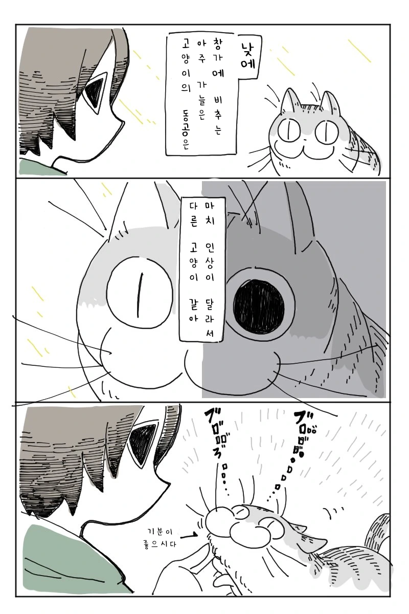manga_503773_002.webp