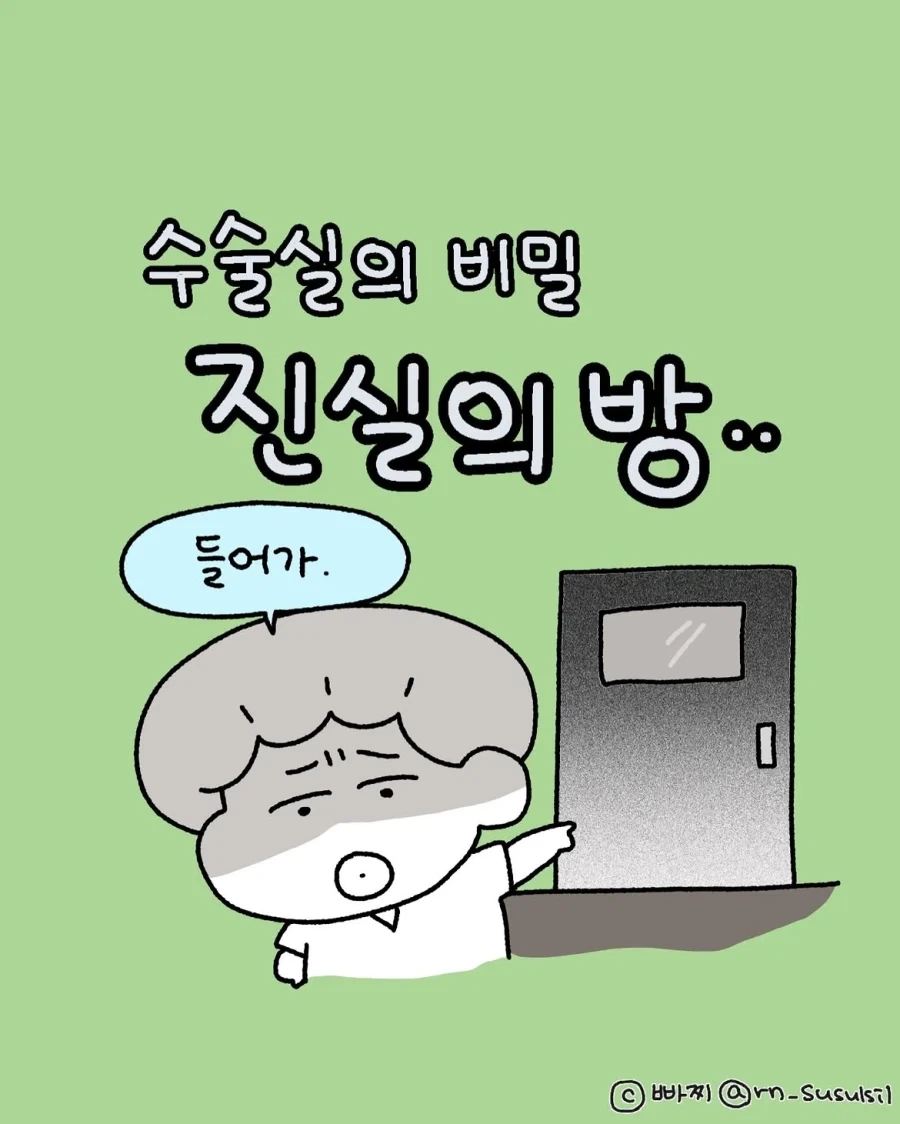 원피스)그러니까 앵무새 떡밥은 나루토로 치면 대표 이미지