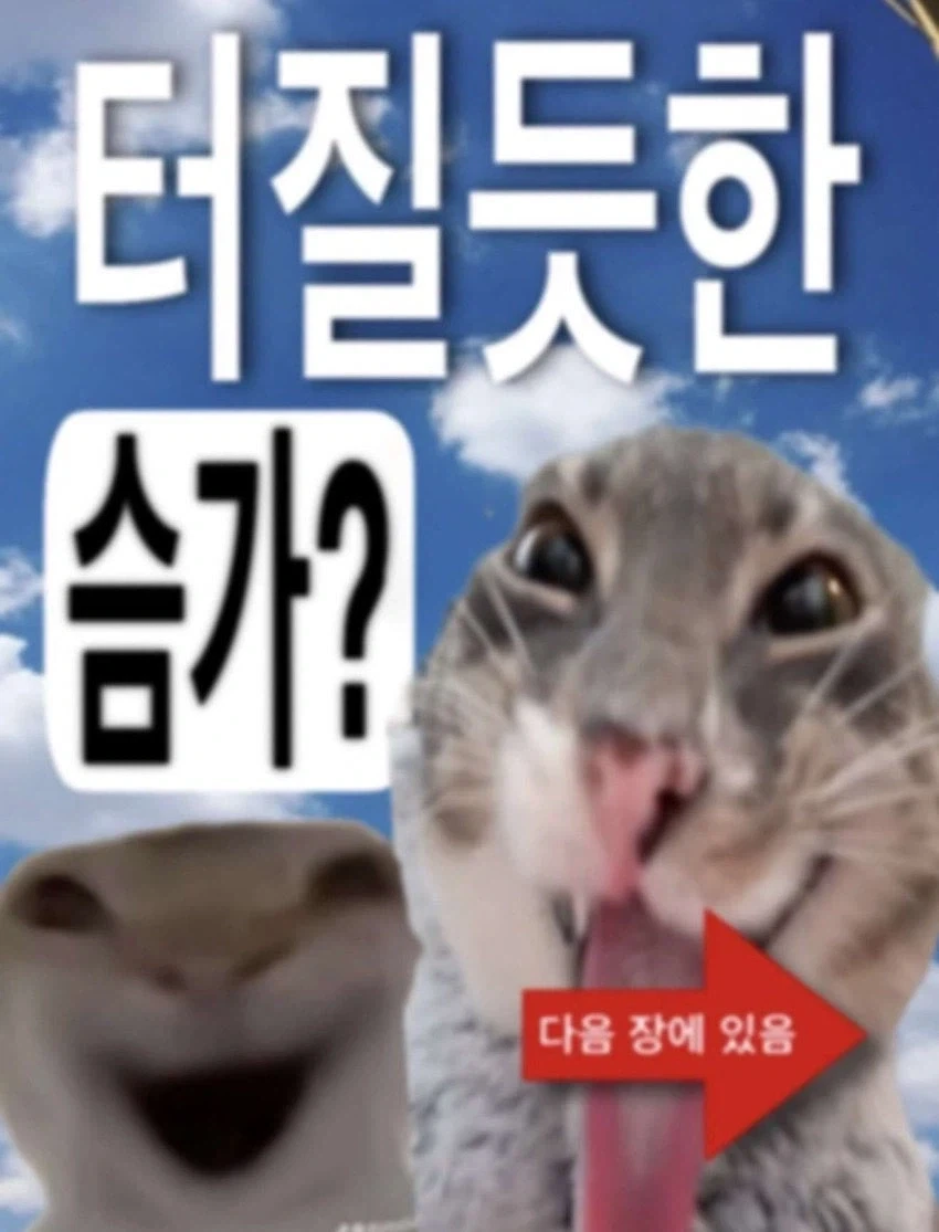 사악한 슬라브인 용병 누나.manhwa 대표 이미지