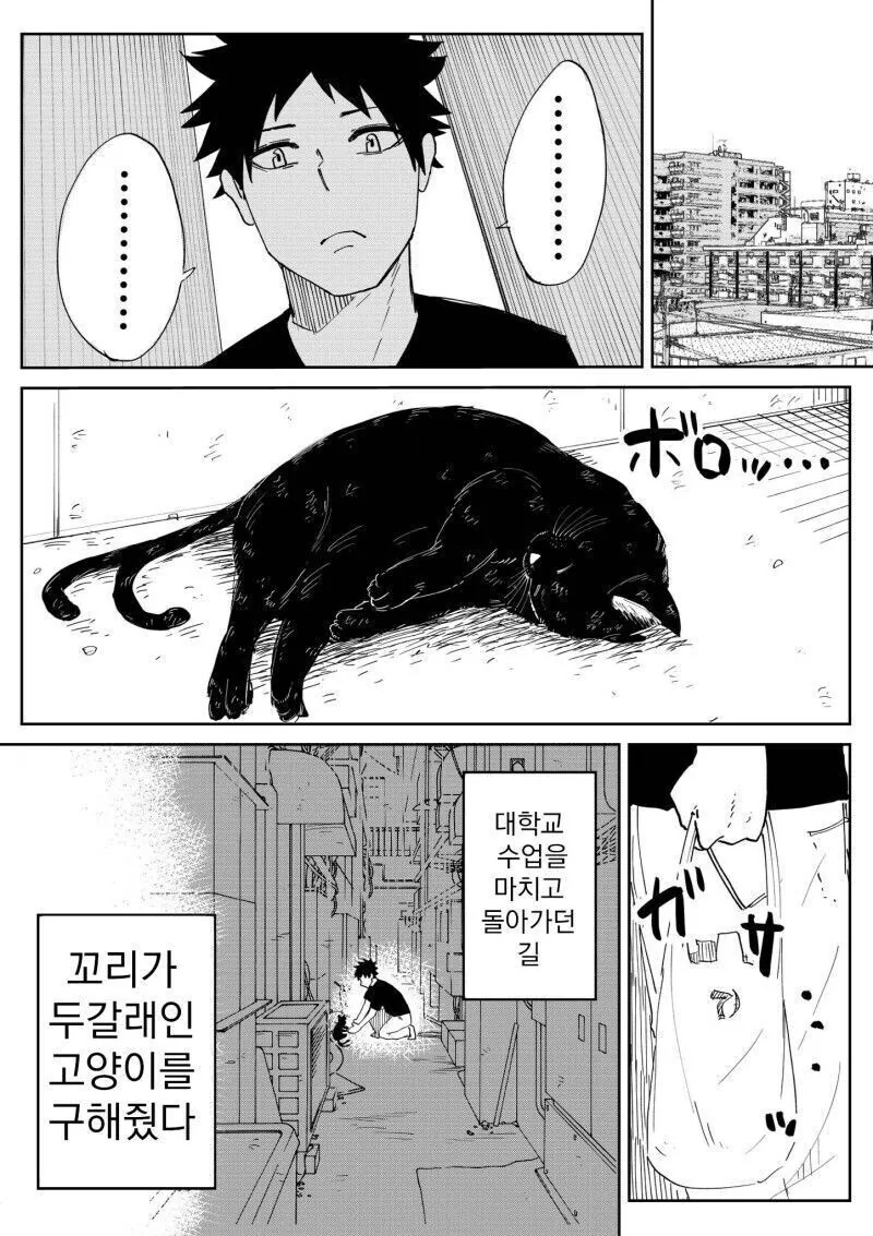 다이나제논) 옷을 서로 바꿔 입어본 어른조 대표 이미지
