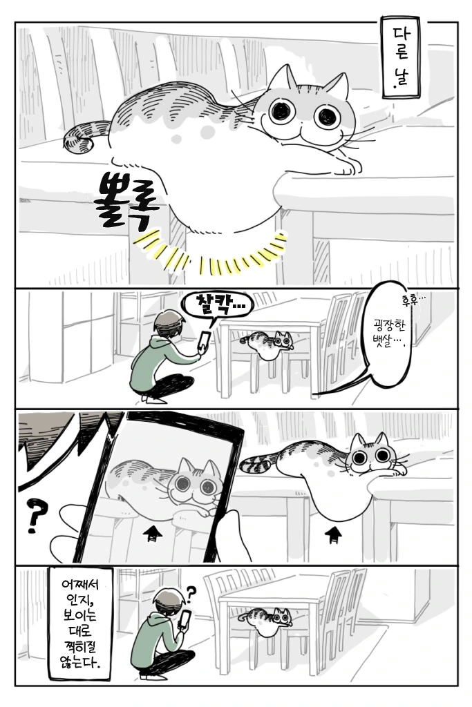manga_2935388_003.webp