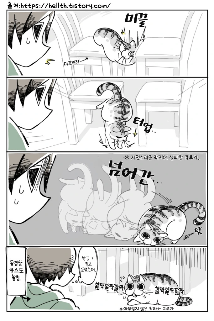 manga_2935388_004.webp