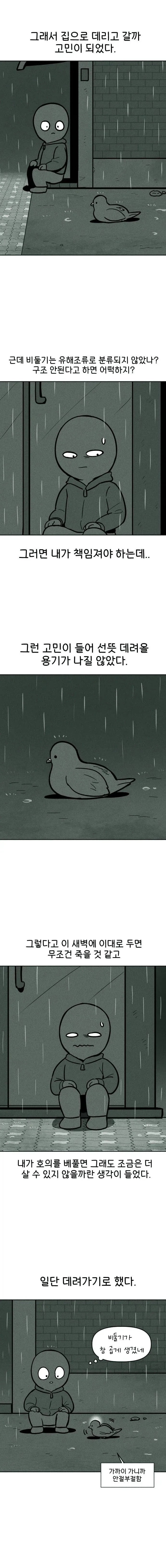비둘기 구조하는 manhwa._4.webp