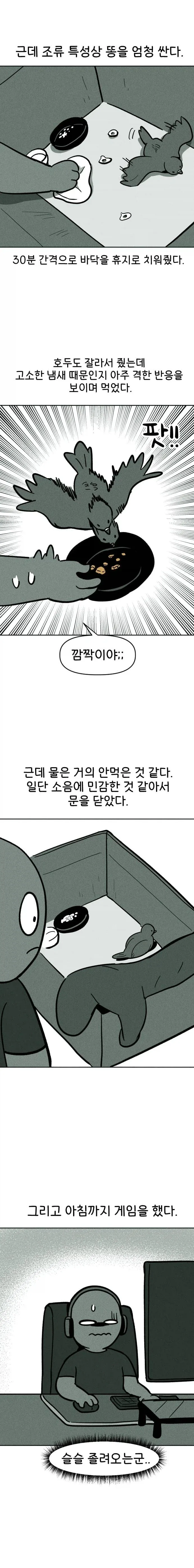 비둘기 구조하는 manhwa._8.webp