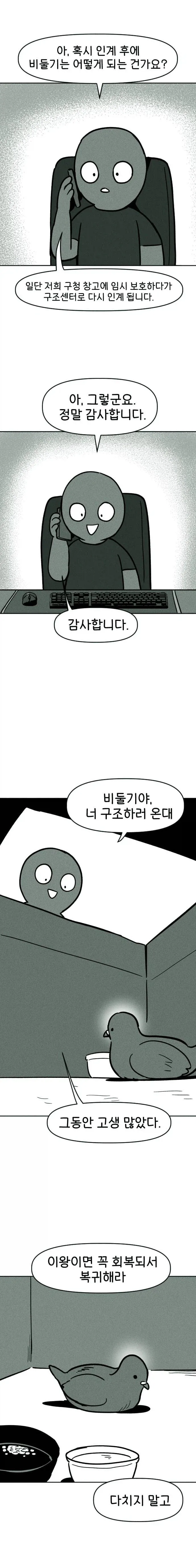 비둘기 구조하는 manhwa._10.webp