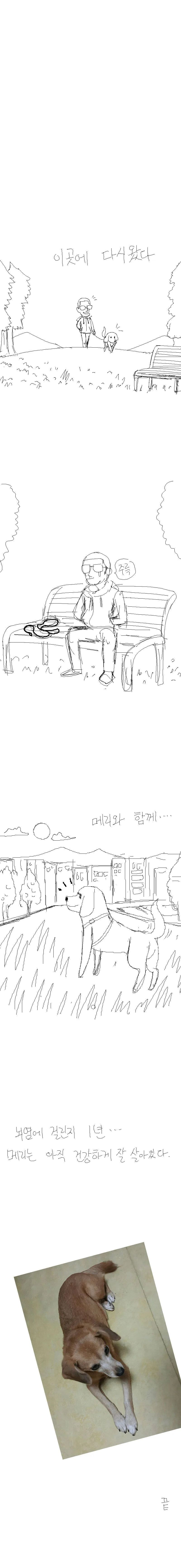 8년 키우던 강아지 안락사 시키는 만화_10.jpg