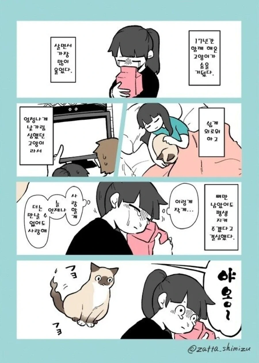 드래곤볼) 버튜버 방송보는 오천과 오공.manhwa 대표 이미지
