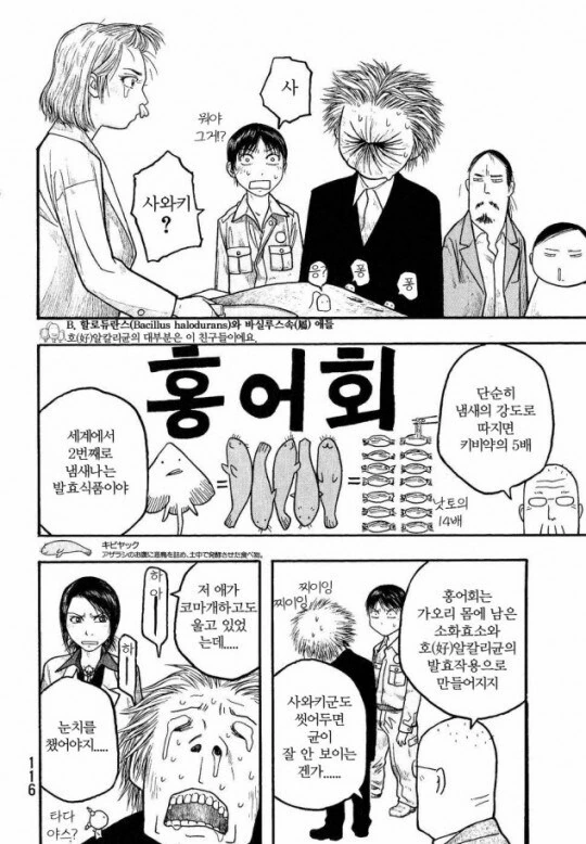 이집트 원시 고대 소닉 대표 이미지
