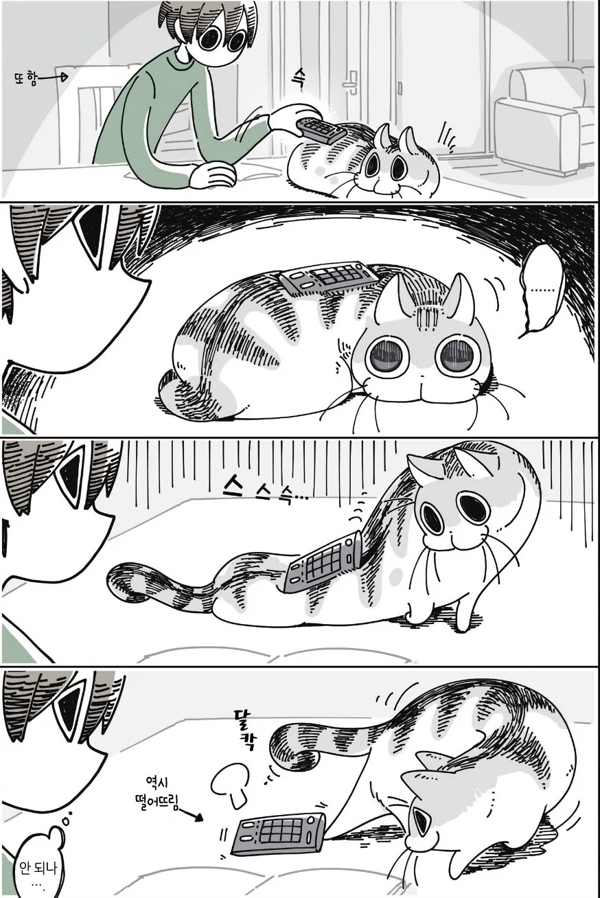 바람직한 ㄱㅊ물 도입부 대표 이미지