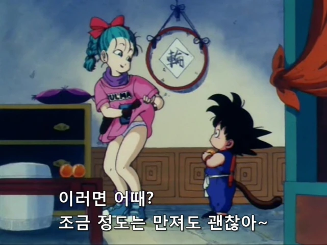 가슴전용 벨트 이미지 2