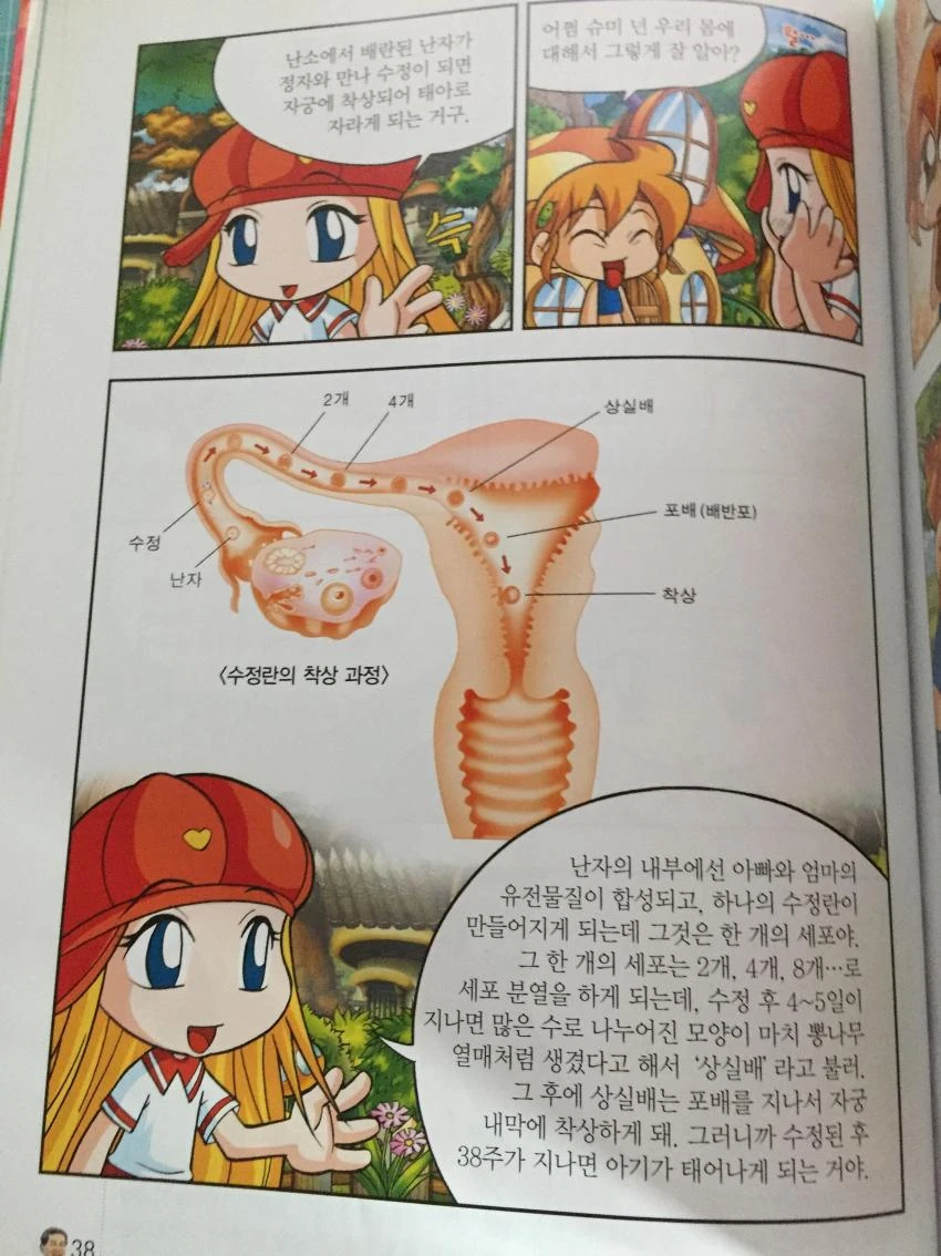 manga_1057347_002.webp