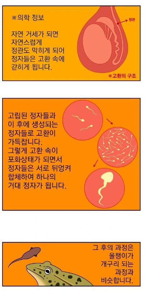 manga_2107669_002.webp
