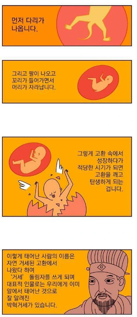 manga_2107669_003.webp