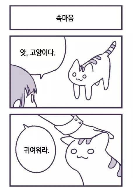 국기소녀) 한국과 일본짱의 PPPP.jpg 대표 이미지