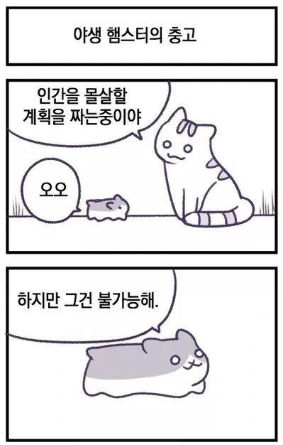 manga_735444_003.webp