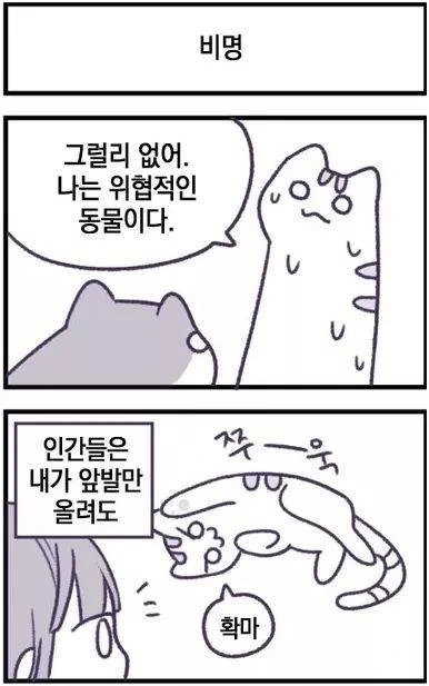 manga_735444_005.webp