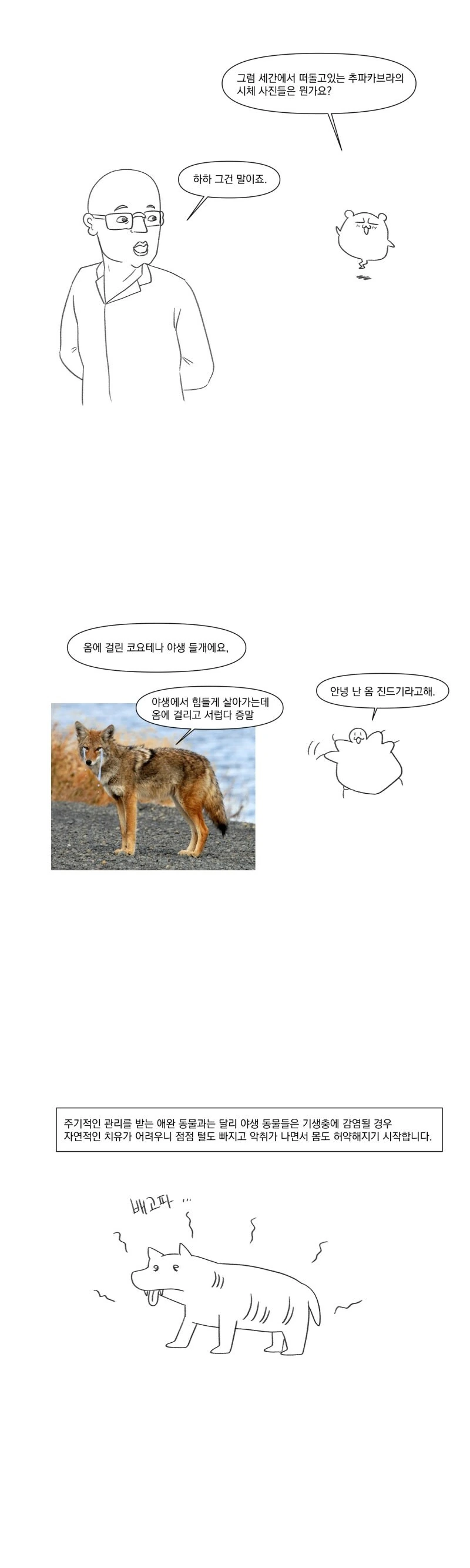 츄카파브라의 정체는 뭘까.manhwa_7.jpg