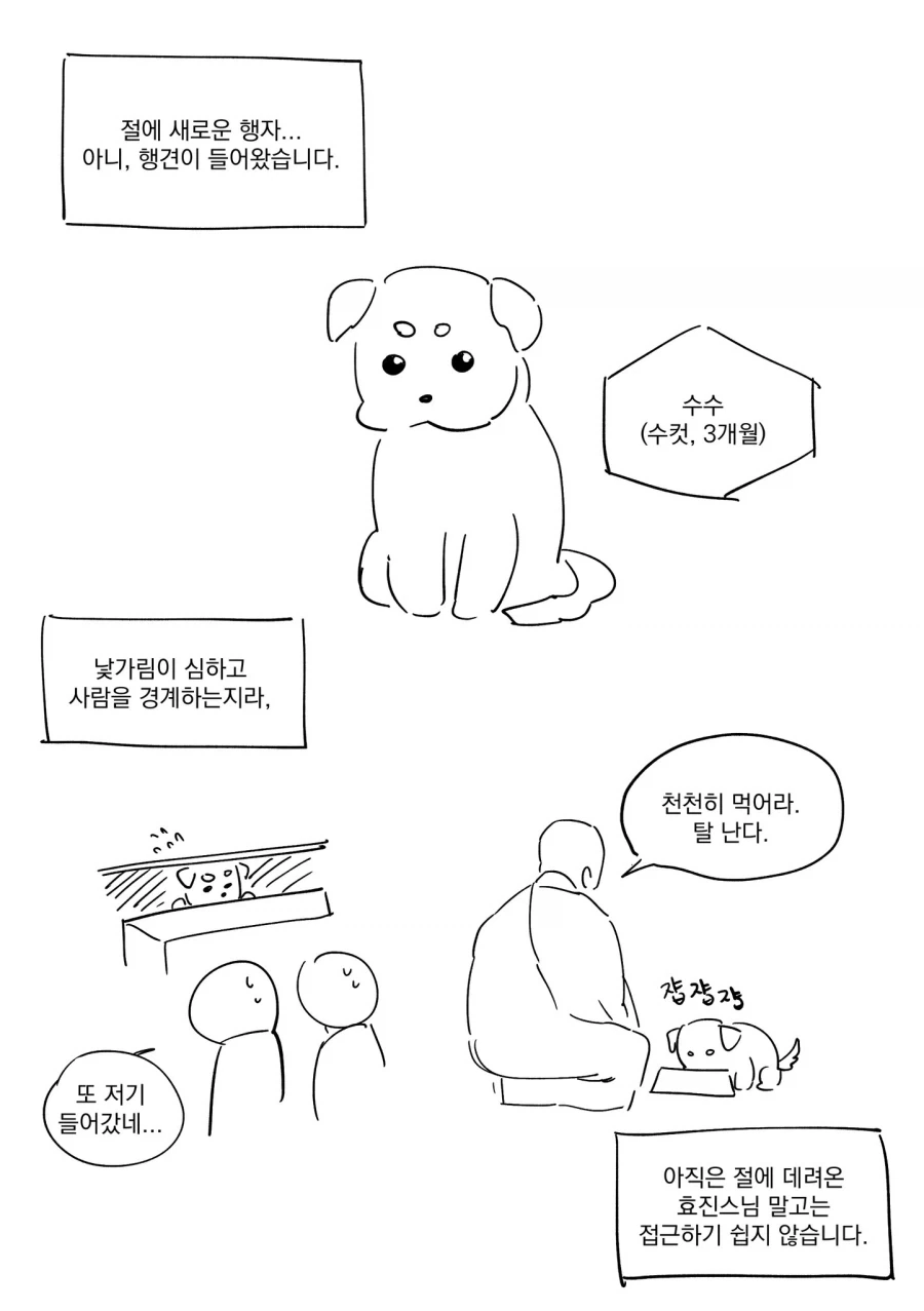 점수를 사기친 남자 대표 이미지