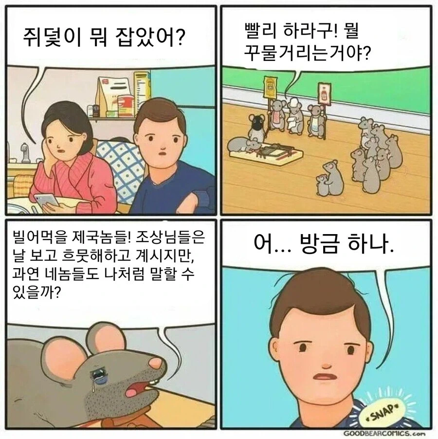 용자]소그레이더 그림작가가 급하게 무언갈 물어본 이유 대표 이미지