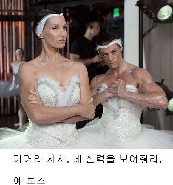 [말딸] 선샌니 다야는 준비된 킬러에용 대표 이미지