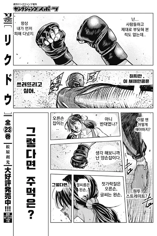 manga_3275241_039.webp