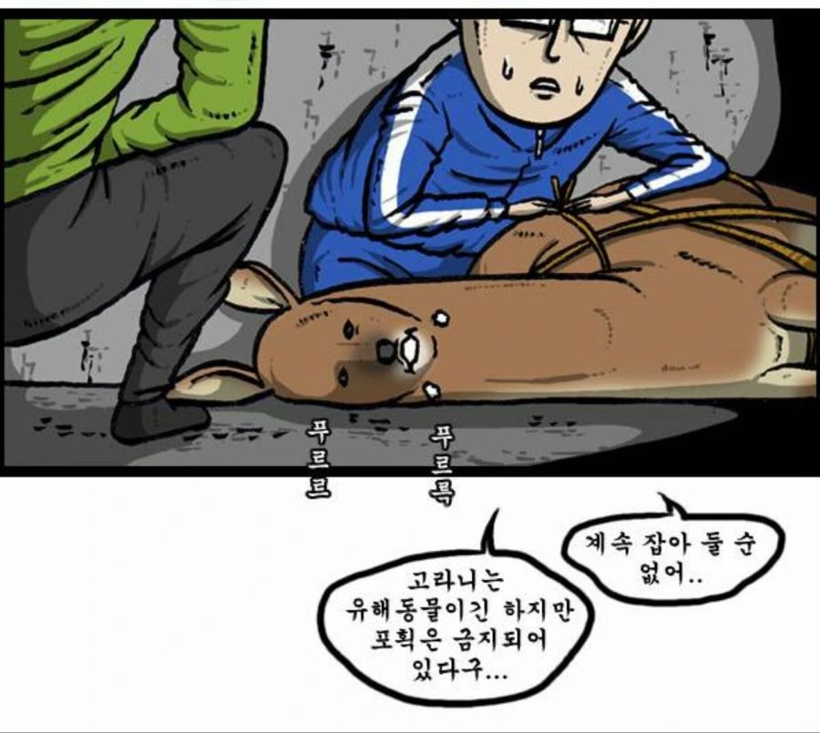 manga_620455_002.webp