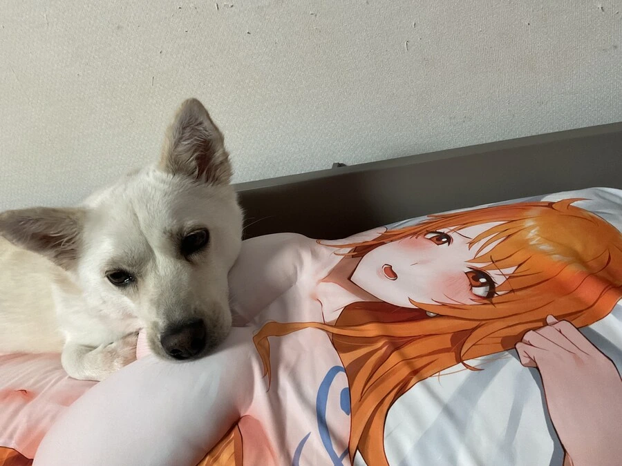 이상한 후드티나 입고 다니는 여자 만화.manwha 대표 이미지