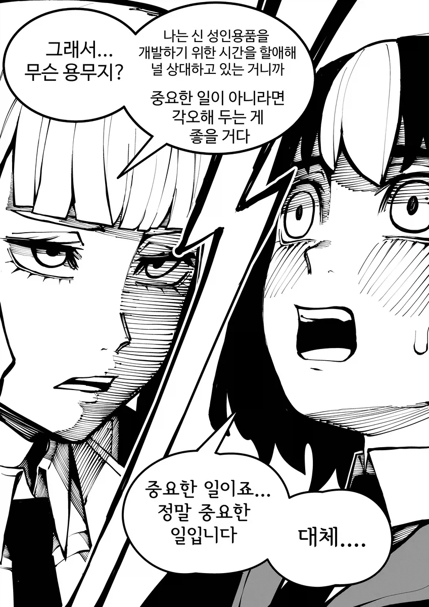부도 직전의 성인용품 회사 만화_2.webp